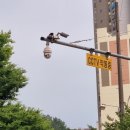 주정차101 이미지