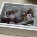 멈머(mummuh) 이미지