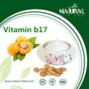 마법의약국 이미지