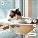 고양이 창문 해먹? 사용해신분들 계신가유 이미지