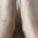 큰언니작은언니샵 | 우울? 제 인생에 그런 건 없죠