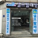 양지크린 이미지