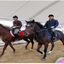 장수승마로 이미지