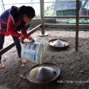 농부네민박 이미지