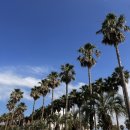 수산1구 | [제주 숙소] 함덕해수욕장 근처 숙소 “소노벨제주 스위트 스탠다드 더블룸” 방문 후기!!