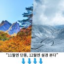 고요목장 이미지