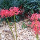 중앙공원 입구 이미지