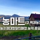 백제할인마트 이미지