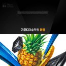 디자인 파인애플