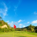 파라다이스 골프레인지 이미지