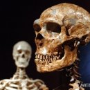 북부유전자 이미지