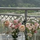 태성추어탕(부산점) | 5월은 가정의달