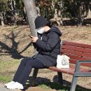 봄의 전령사ㅡ히어리/뿔남천 외 - by 모모수계 이미지