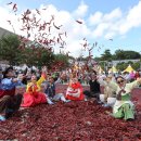 괴산고추축제 이미지