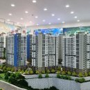 유림-1036 이미지