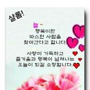 행복의료기 네이버블로그