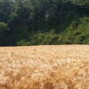 상거노2리마을회관 이미지