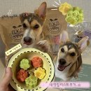 멍빵 네이버블로그