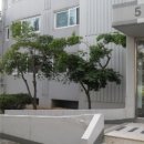 조흥로즈빌 이미지