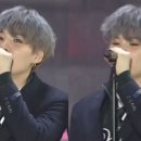 마이크 엔터테인먼트 이미지