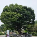 엘리스오븐2