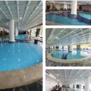 켄싱턴호텔평창 실외수영장 이미지