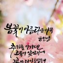 아름다운수채캘리 이미지