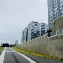 진짜순대 이미지