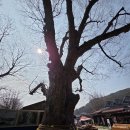 화산이 빚고 세월이 깎았다 이미지