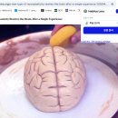 (주)다윈개발 | [공지] 시험공부 정복을 위한 AI앱 개발 — Habitus Lens 완전 가이드