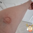 속튼튼내과의원 이미지
