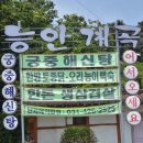 백운호수 능안계곡 | 뛰어났던 백운호수 맛집 리스트