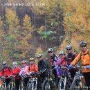 모운동길 이미지