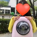 다봄 동물병원 이미지