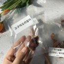 삼형제 펫푸드 이미지