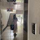 미즈미스 페미닌 블링 원피스 구매 후기 - 살구색 드레스에 문구점용 반짝이의 조합