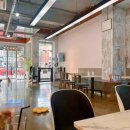 더왈츠앤조이피아 이미지