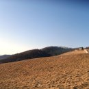수진여행사