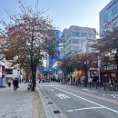 신촌역 연세대 인근에서 방 구할 때 실패 없는 선택지 레지던스 코지 신촌 직접 살아본 후기