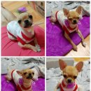 우체국 건널목 이미지