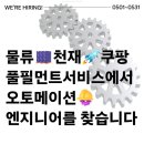 31 이미지