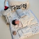 꼬마손 | 꼬마손 신생아 아기 초점책 사용 시기(언제부터 언제까지), 거리, 실사용 후기