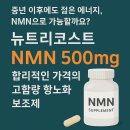 트루니아 | 뉴트리코스트 NMN 500mg 리뷰: 합리적인 가격의 고함량 항노화 보조제