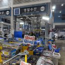 농수산물시장 | [수원 농수산물 시장] 영일수산 꽃게, 호래기 후기
