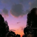 도마태평양약국 이미지