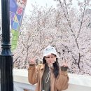 메이플스토리 롯데월드 놀이기구 개장 첫날 스톤 아르카나 후기