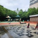 샘물공원 | 도심 속 시원한 하루 샘물어린이공원 바닥분수 후기