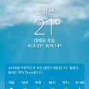 #10ㅣ비행일기ㅣHKG-MELㅣlucky~🍀 비딩 성공해서 간 멜버른