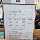 도그토피아 이미지