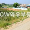 택지주유소 이미지